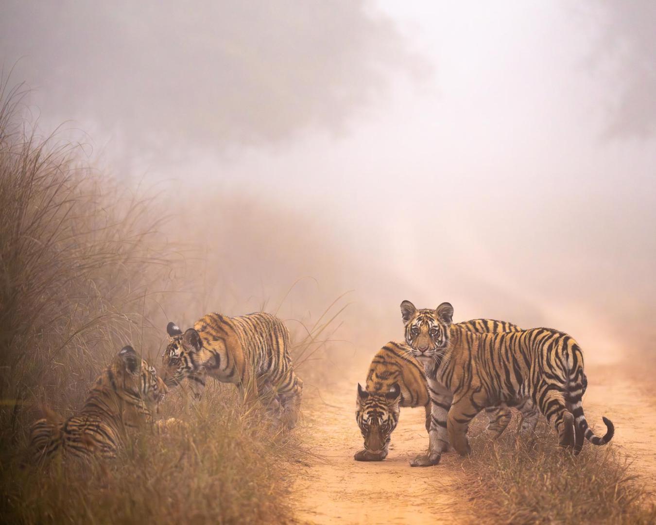 Khajuraho Glory Homestay ภายนอก รูปภาพ